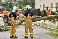 Feuerwehr_Baum   039